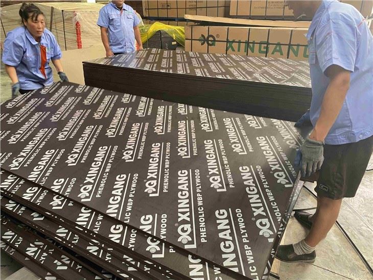 Brown Melamine Paper Plywood