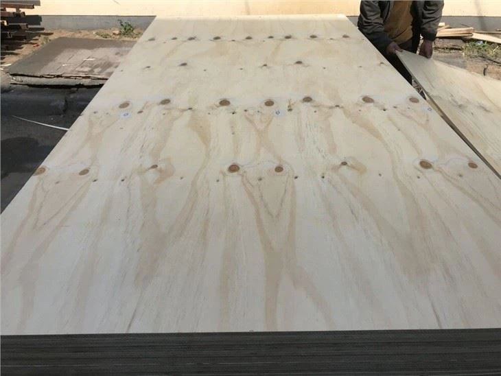 CDX Pine Plywood