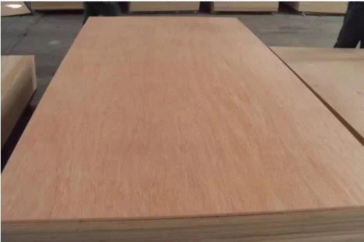 China Plywood Manufacturer /factory -xingang Group