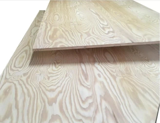 Qurilish fanera Marine CDX Pine Plywood