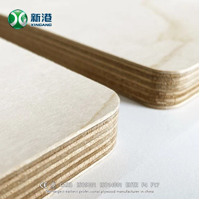 12mm 15mm 18mm Yaxshi sifatli qayin kontrplak