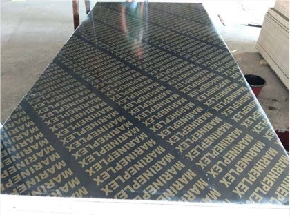13 qatlamli terak yadroli plyonkali kontrplak