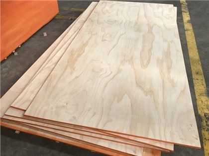 18mm C / D PINE PLYWOOD STRUKTUAL UCHUN