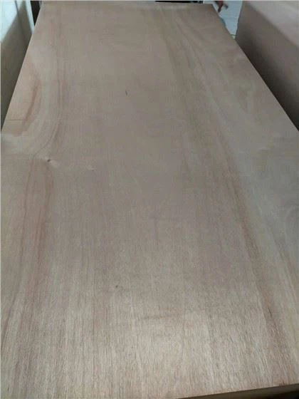 Qurilish darajasi bir martalik Okoume fanera