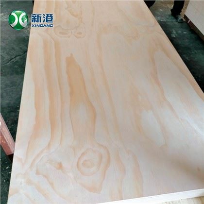 Peru Chille Pine Plywood C plus / C plus Qurilish Eng yaxshi sifat