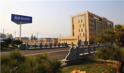 Melamin qog'ozli xom zarrachalar taxtasi DSP Linyi zavod narxi