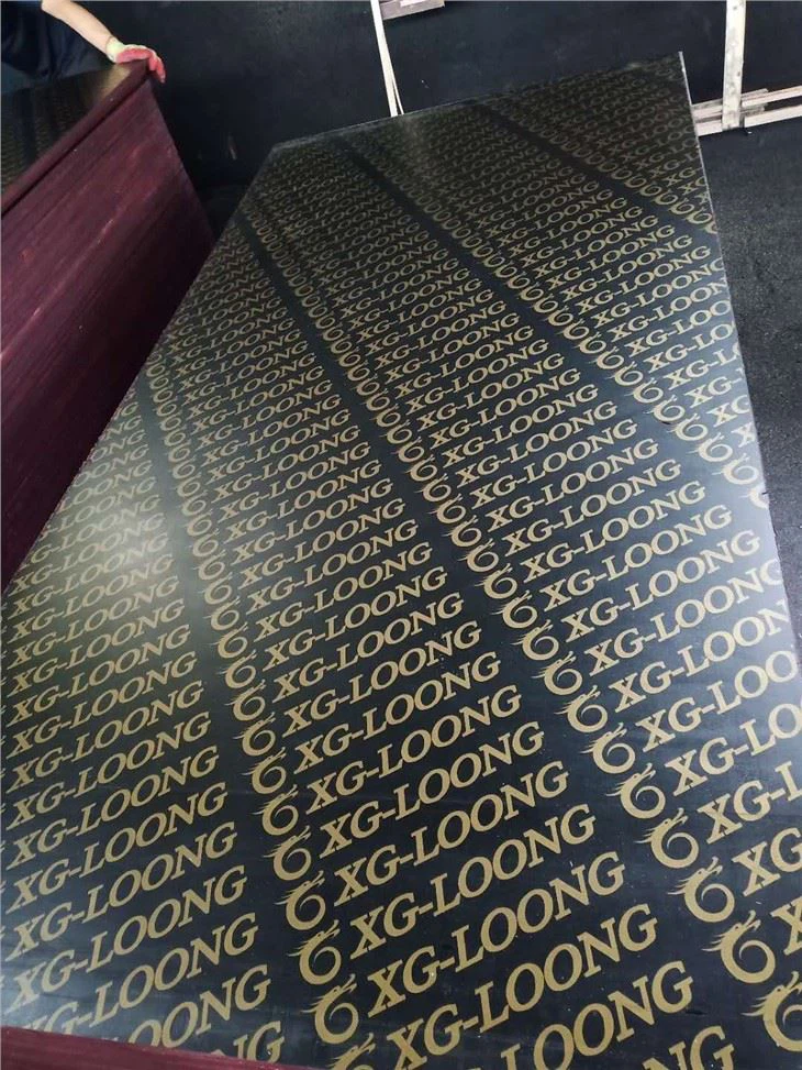 Xingang qayin plyonkasi bilan qoplangan kontrplak