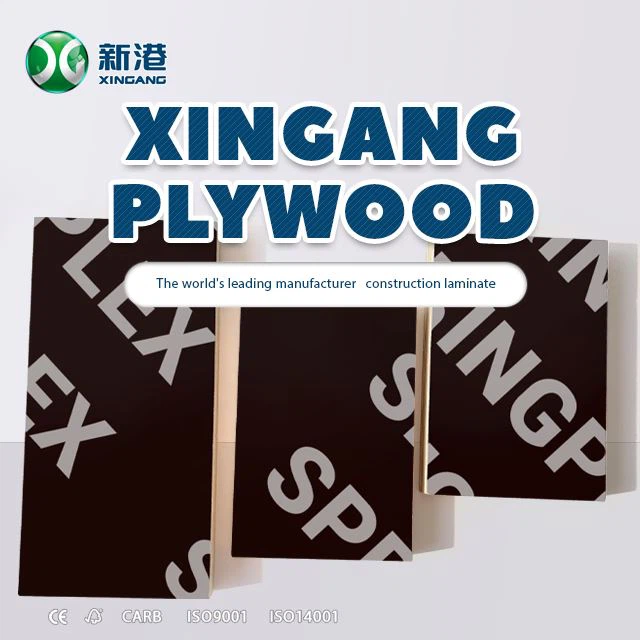 Xingang brendi dengiz kontrplak Flm yuzli fanera