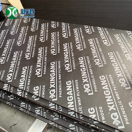 Phenolic Brown Eucalyptus Plywood