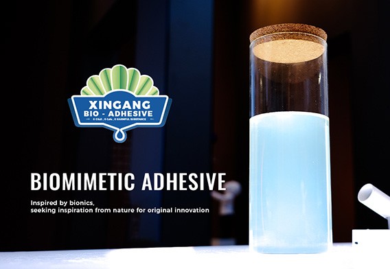 Xingang Biomimetic Adhesive Xingang Biomimetic Adhesive