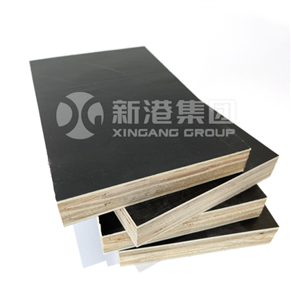 Barmoq shion plyward 20250224